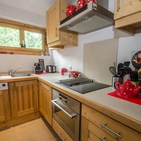 Superbe 3 Etoiles A Chamonix, 2 Chambres, Balcon, Cheminee Deco, Parking Et Wi-fi - Fr-1-343-197 * 샤모니